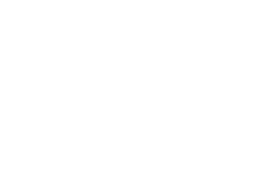 Wahl